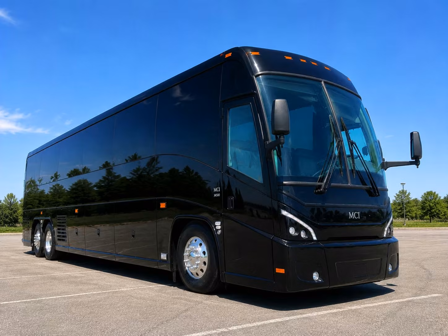 toledo zoo field trip bus rentals made easy